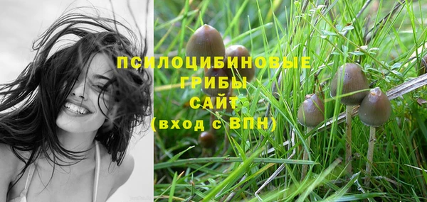 PSILOCYBIN Тихвин