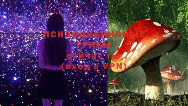 MDMA Аркадак