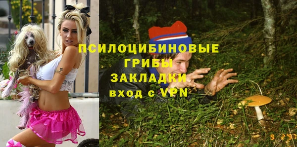 apvp Баксан