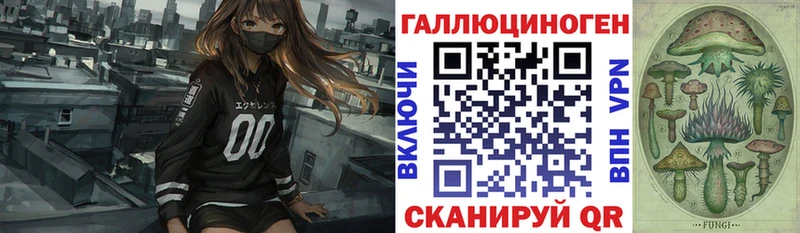 Купить где  Балашов  Галлюциногенные грибы GOLDEN TEACHER 
